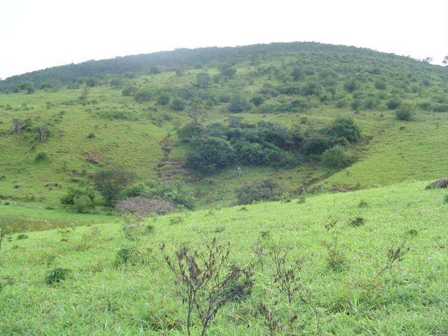 Vale Jiquiriçá-Fazenda - 800 Tarefas, analisa troca p\imóvel em Salvador - Foto 15