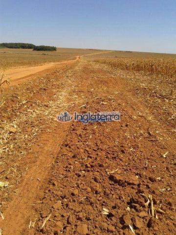 Fazenda à venda, 1817,07 alq. por r$ 36.790.000 - centro - diamantino/mt