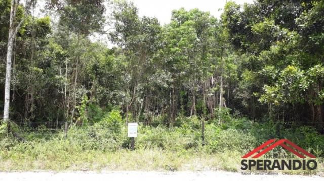 Terreno c/ 480m² (15x32m), face leste, balneário itapoá