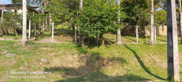 Terreno em antonina - Foto 2