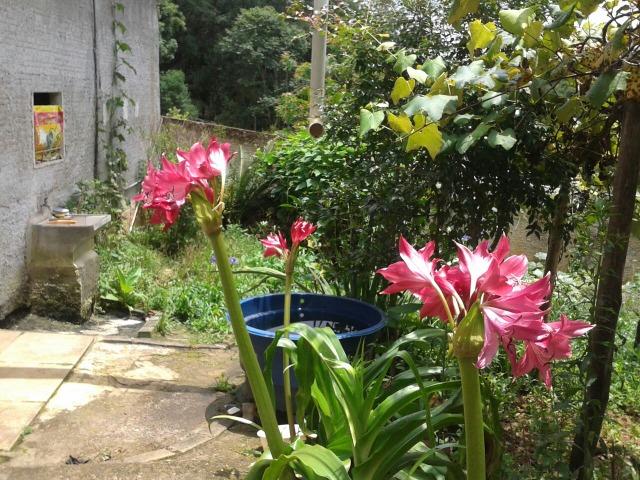 Chácara - Sítio - Mandirituba próx. Fazenda Rio Grande - Foto 16