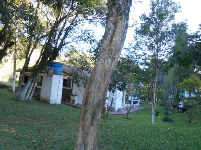 Chácara - Vendo - Foto 8