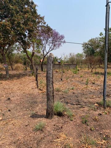 Lote - Foto 3