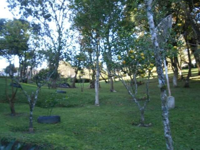Chácara - Vendo - Foto 5