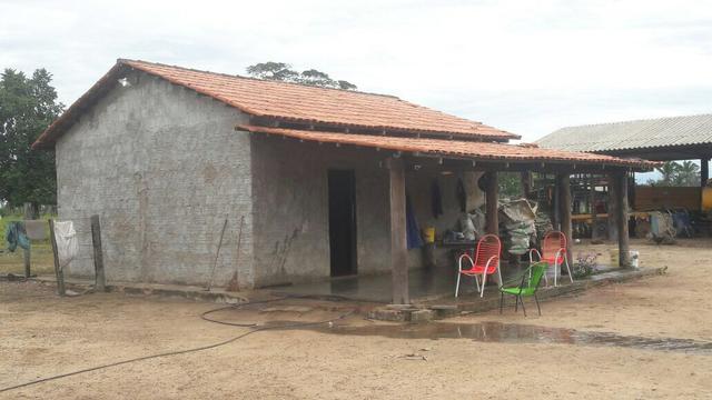 Fazenda - Foto 10