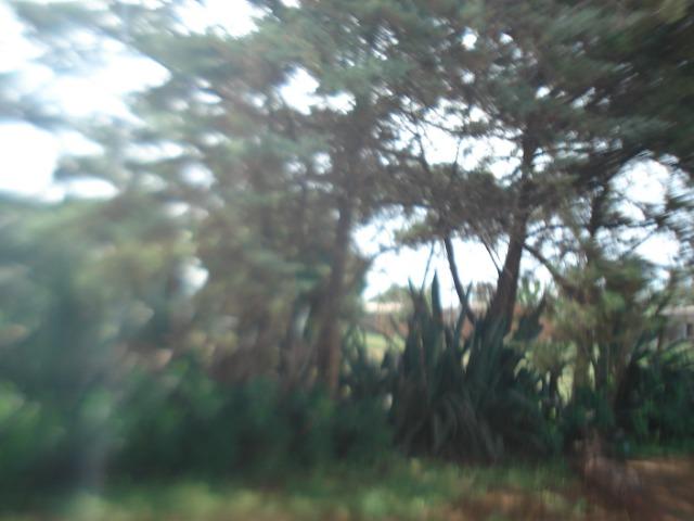 Chácara- Águas Lindas - Foto 3