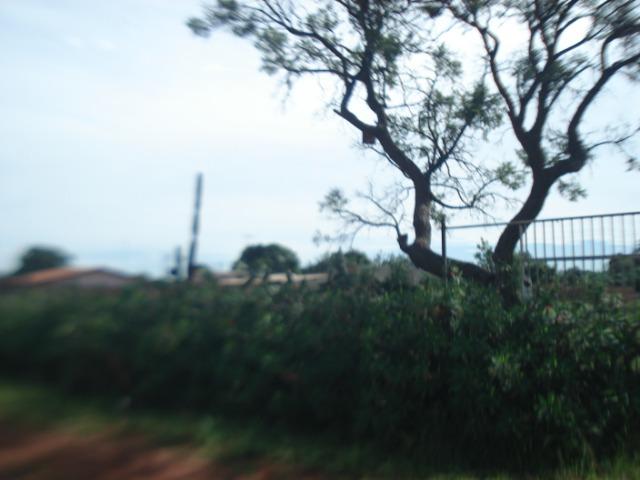 Chácara- Águas Lindas - Foto 4