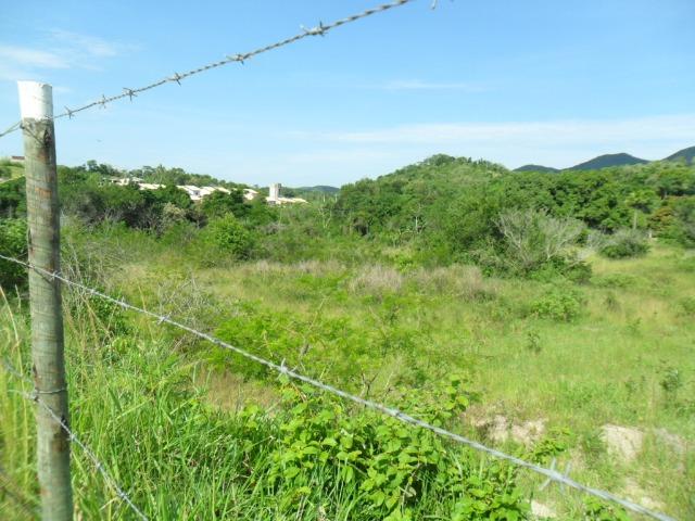 COD-142: Terreno em Rio de Areia - Saquarema - Foto 5