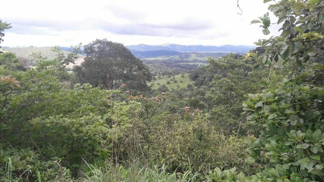 Vendo 04 Alqueires Panalmira - Foto 13