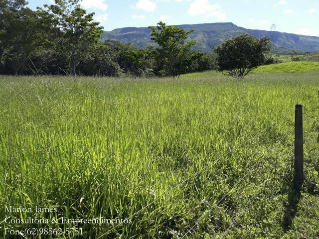 Fazenda em Niquelandia!