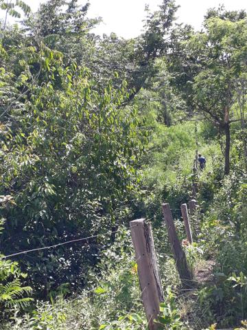 Vendo terreno de 7 alqueiro de terra viagem - Foto 9