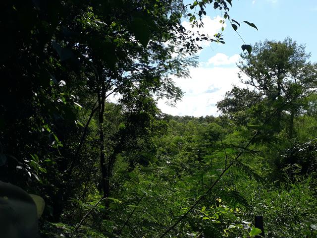 Vendo terreno de 7 alqueiro de terra viagem - Foto 12