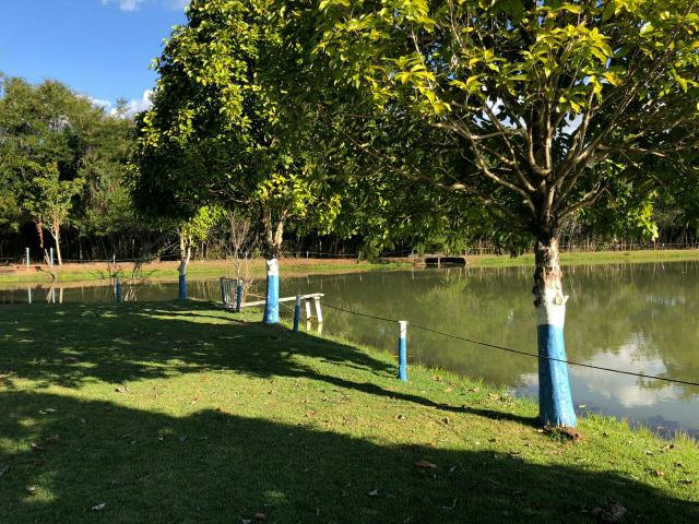 Chacará com lago (Prox.a Goianira) - Foto 13