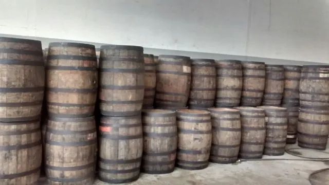 Barril de carvalho europeu - Foto 4