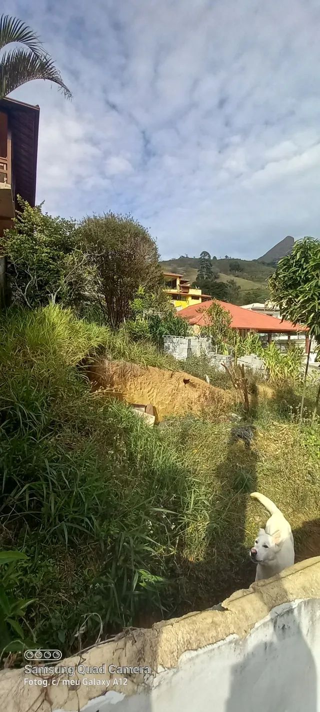 Vendo Terreno Cônego  - Foto 2