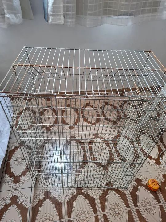 Gaiola de metal para animais de estimação