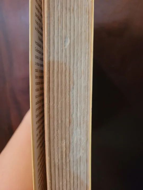 Inteligência Emocional - 33° edição  - Foto 2