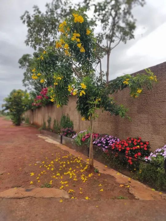 foto - Brasília - Jardim Umuarama Setor 2