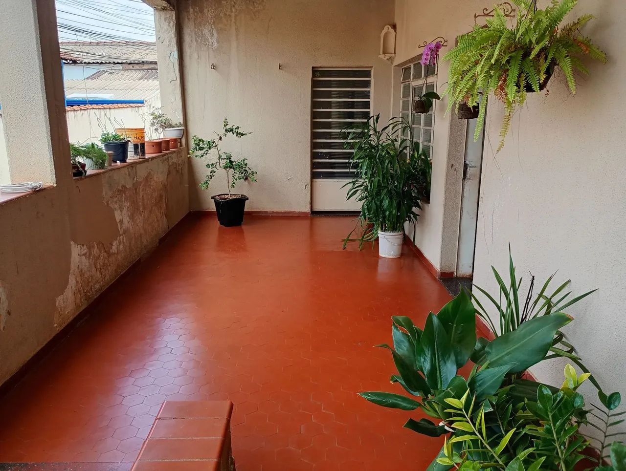 Foto - Ribeirão Preto - Vila Tibério