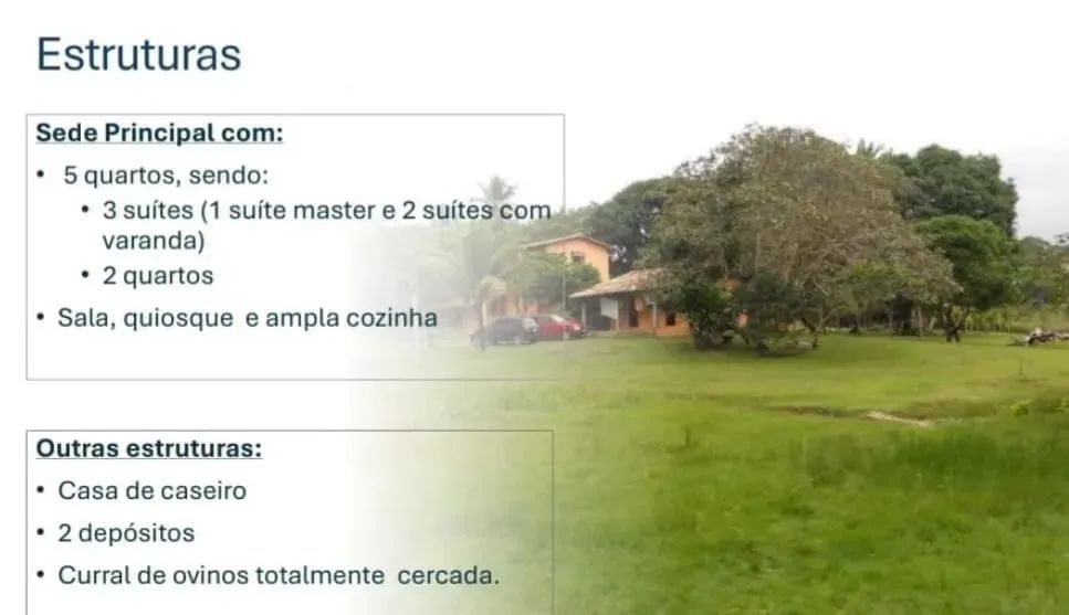 Fazenda 38 hectares - Recanto Patioba - Foto 4