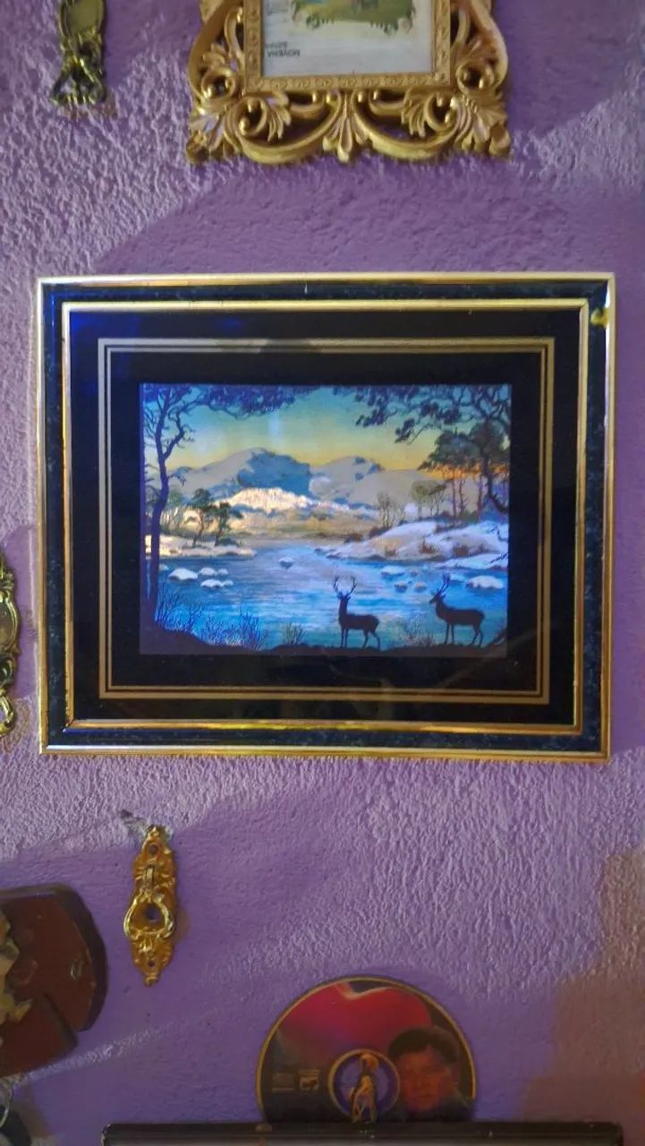 Quadro cintilante paisagem vintage antigo quando bate luz ele cintilante mais ainda - Foto 3