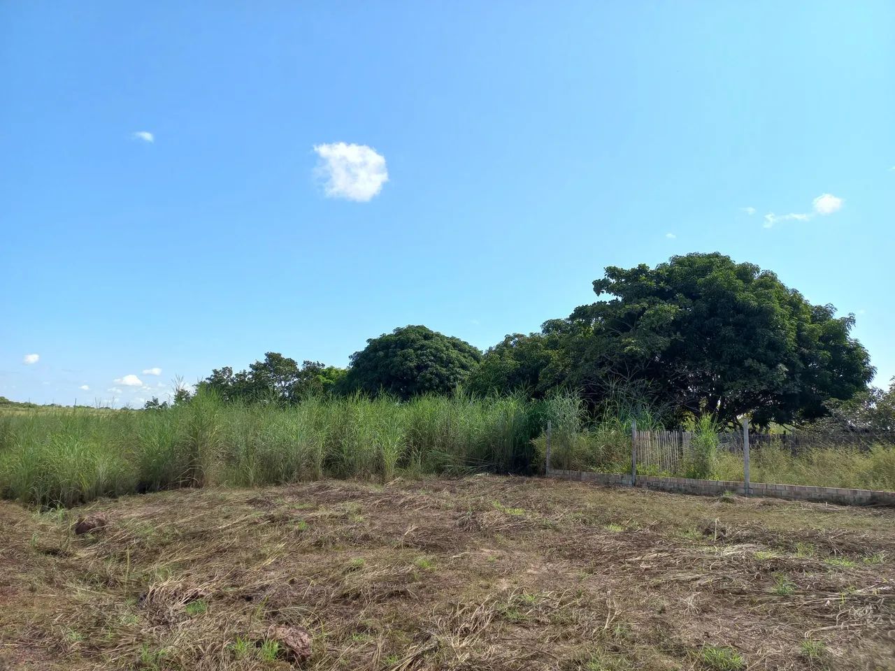 Terreno Rural Terreno Rural no PA Nova Amazônia - Terrenos, sítios e fazendas ...