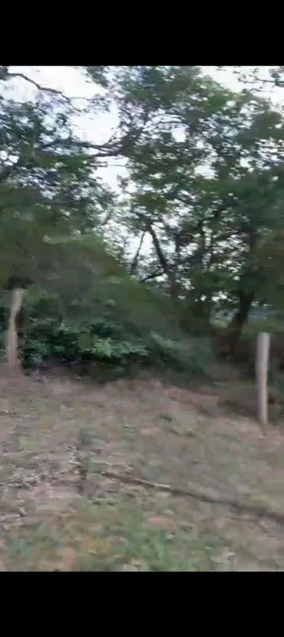Vendo 97 hectares em Corguinho MS. - Foto 5