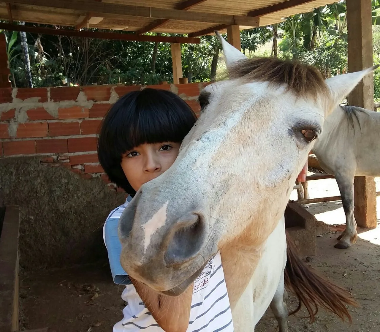 Cavalo Manso para Crianças.