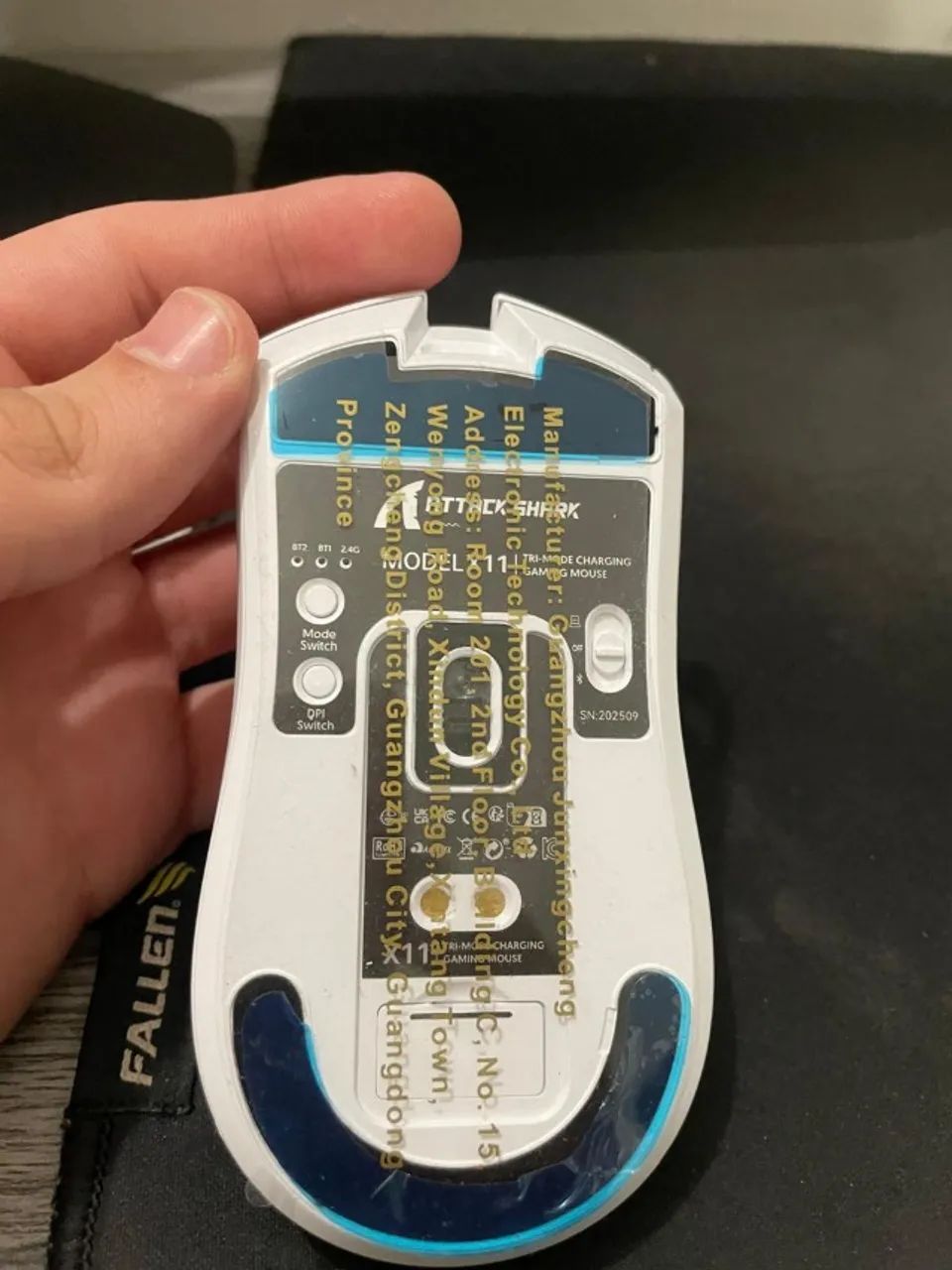 mouse attack shark64307867289857121