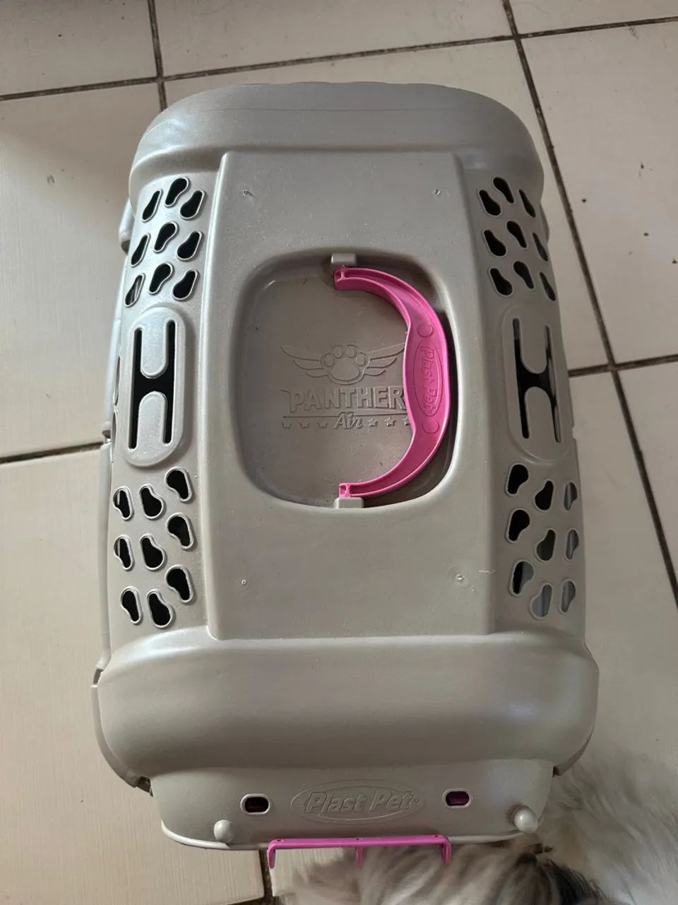 Caixa transporte pet - Foto 5