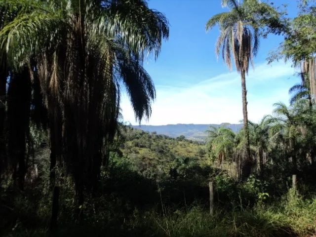 Mateus Leme - Terreno - 20.000 m² - R$ 20.000,00 de entrada - Foto 2