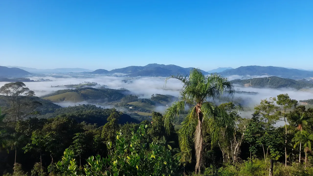 Terreno em três riachos