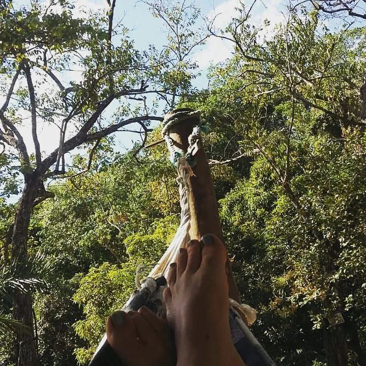 Linda Chácara ABUNDANTE EM NASCENTES D'ÁGUA!  - Foto 8