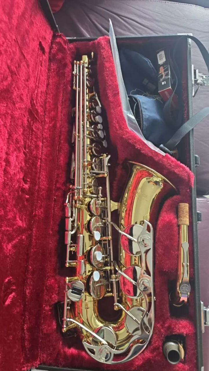 Saxofone profissional dourado com estojo
