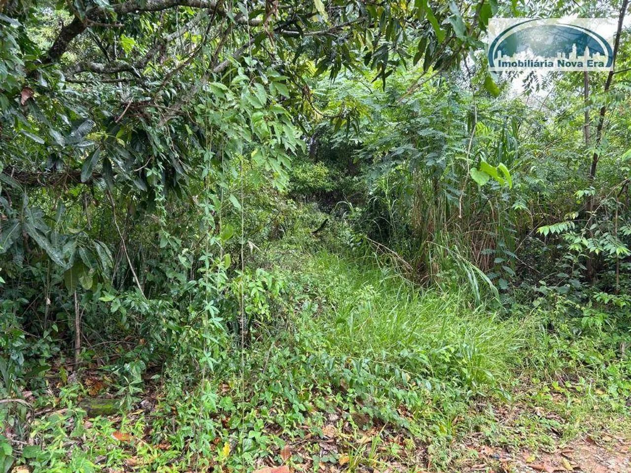 Chácara à venda, 5000 m² por R$ 4.000.000,00 - Monte Alegre - Vinhedo/SP - Foto 9