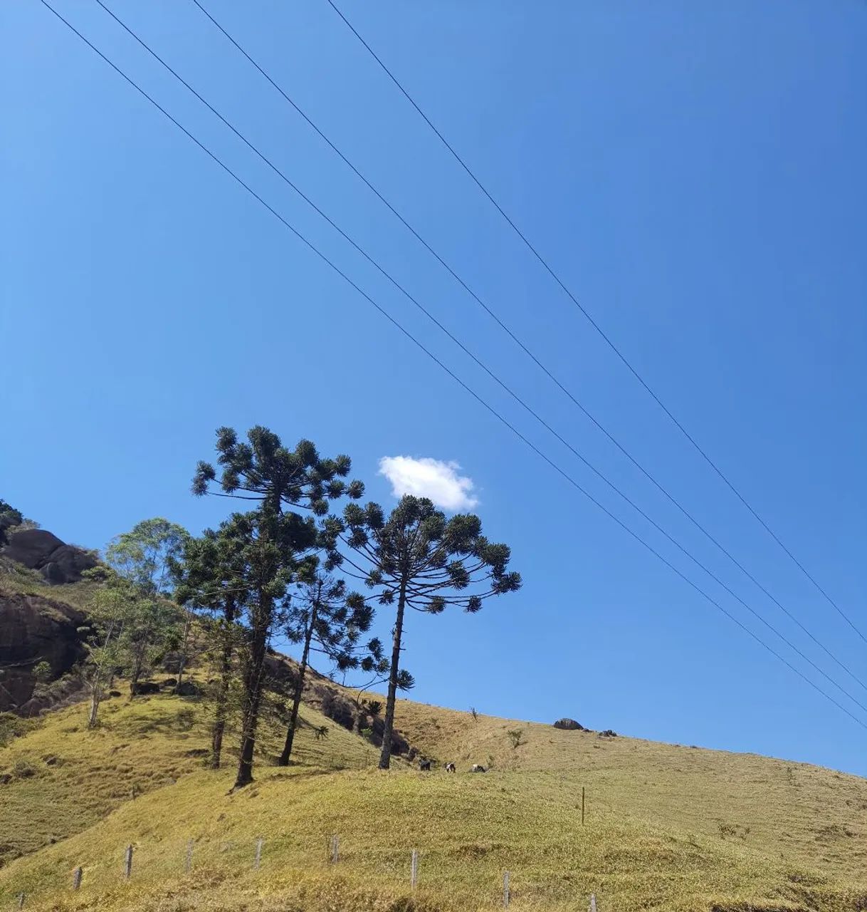 Terreno em São Francisco Xavier - Foto 4