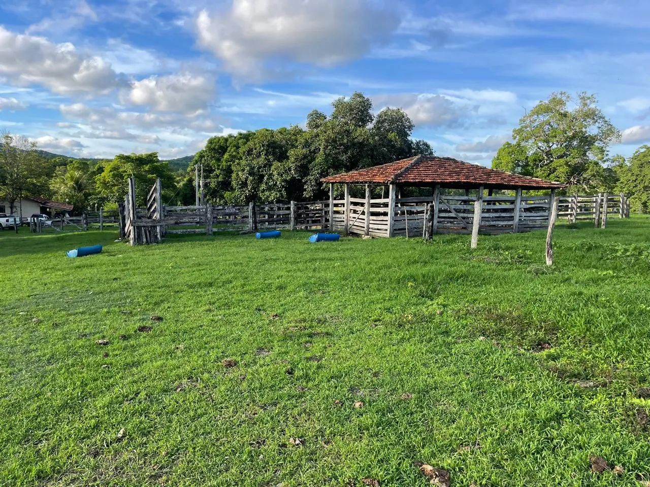 Fazenda em morro agudo - Foto 4