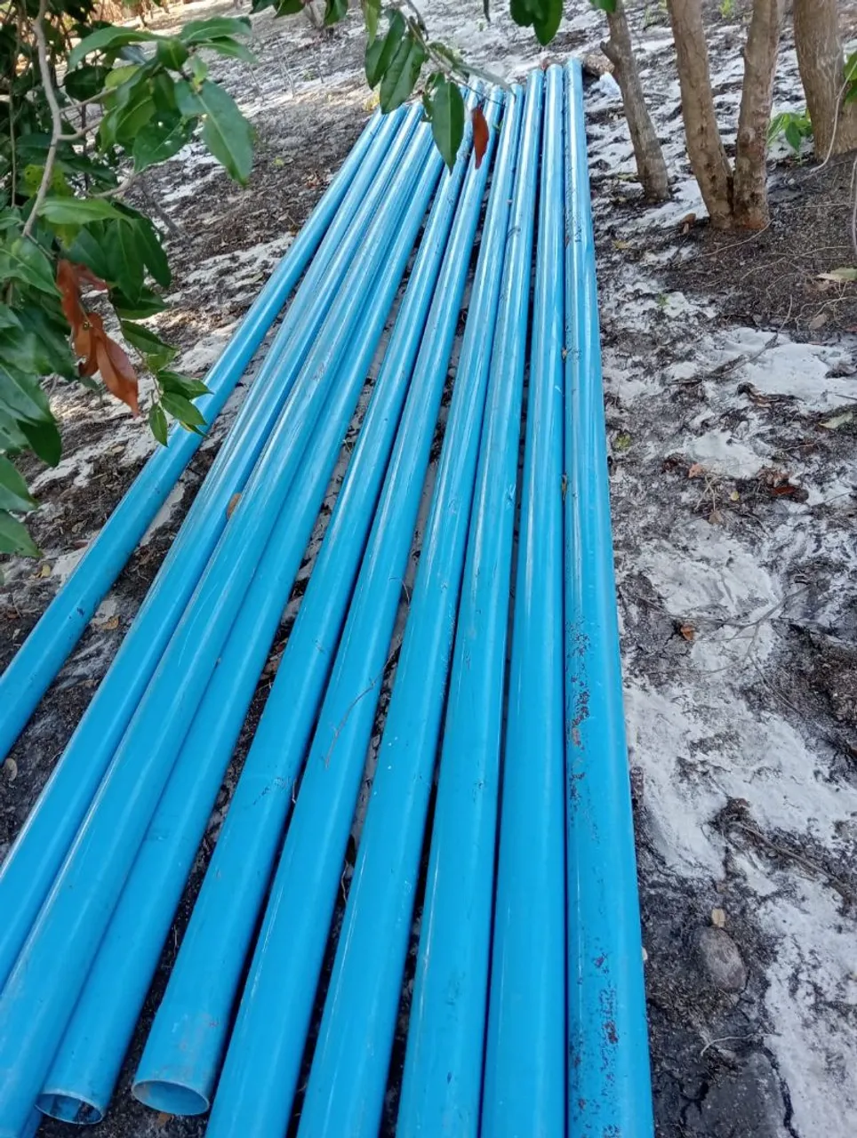 Cano 100 seminovo