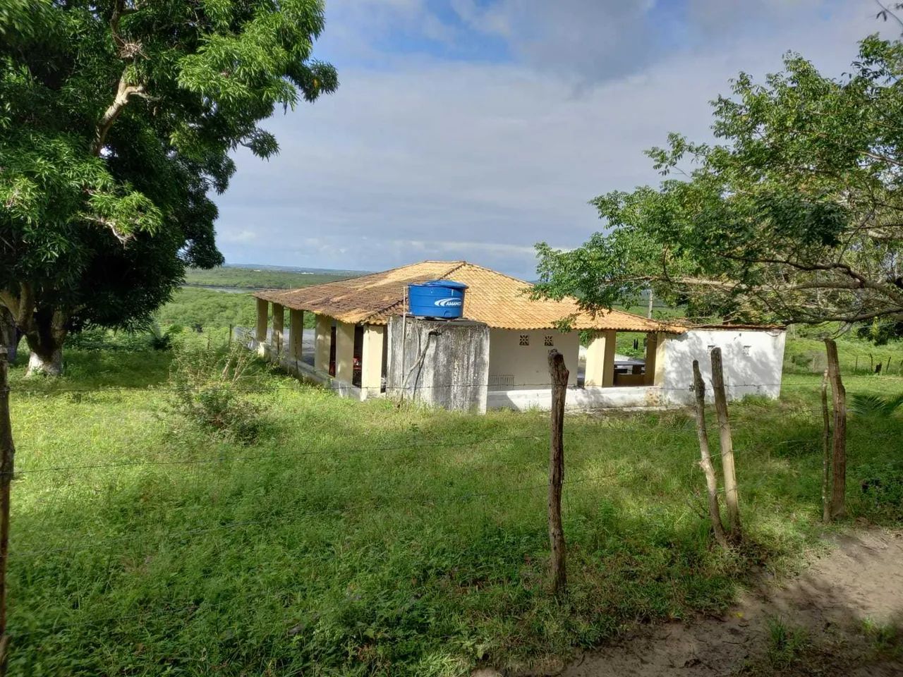 Fazenda São João Evangelista ^ - Foto 4