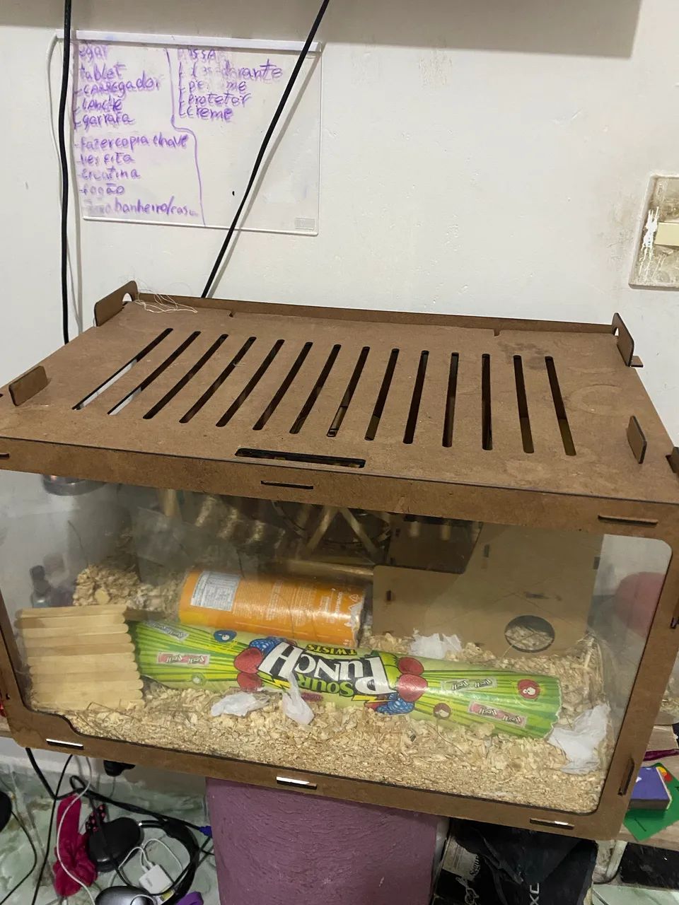 Doação hamsters anao russo - Foto 2