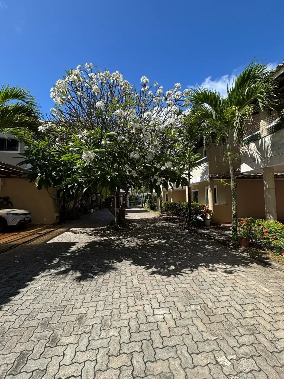 Casa de 4 quartos no farol de itapuã - Foto 4