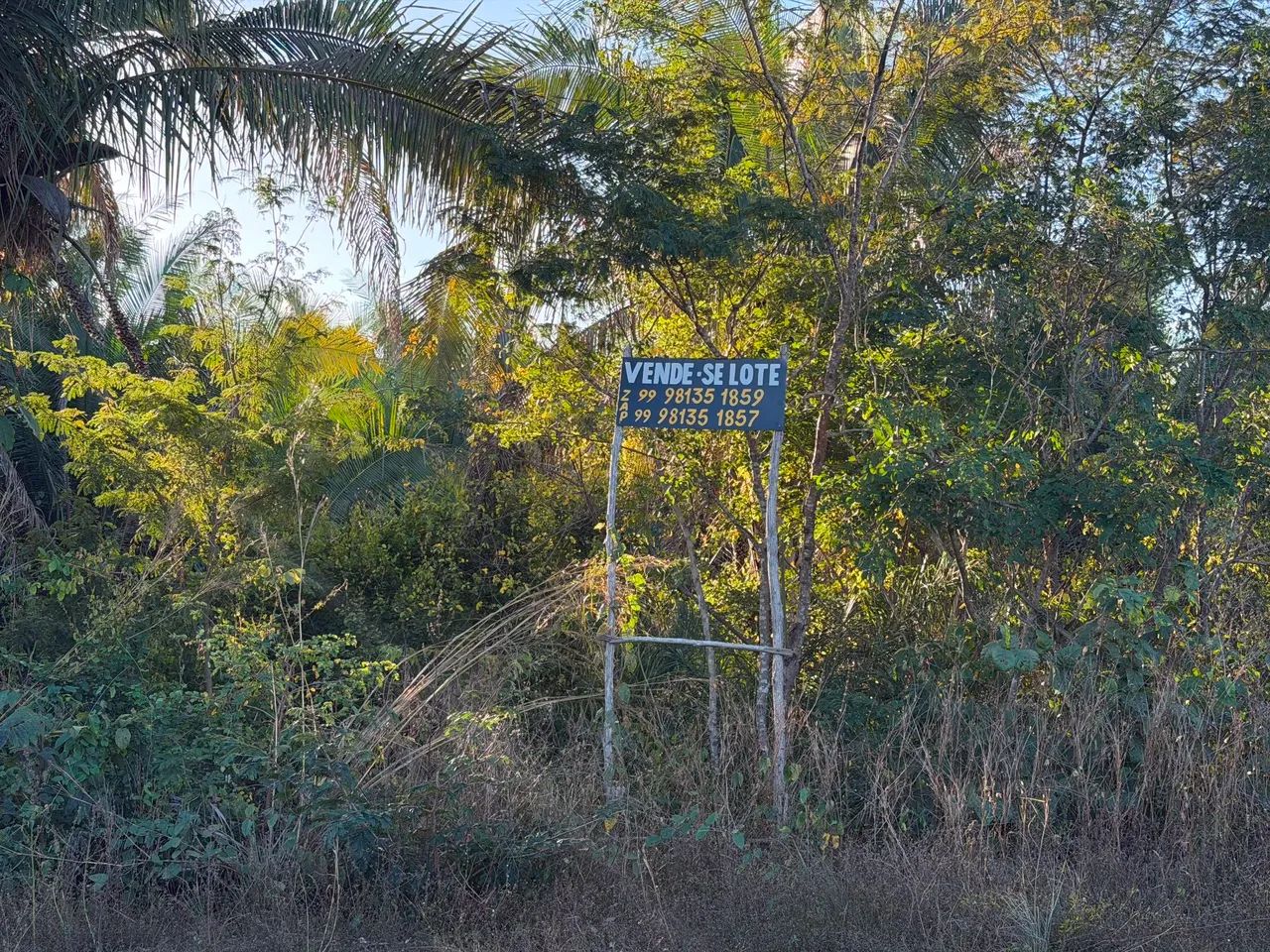 Vendem-se Lotes Povoado Criminosa - Foto 4