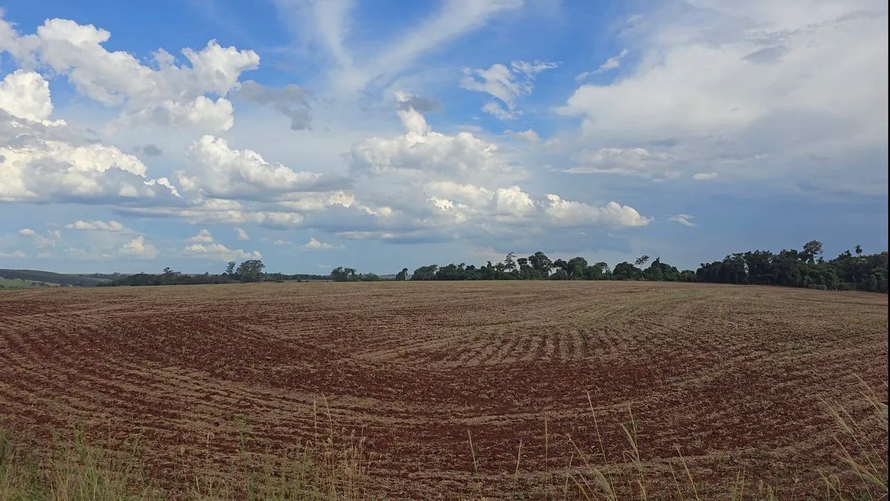 Vendo Sítio de 236.870 M² em Vera Cruz do Oeste-PR. - Foto 5