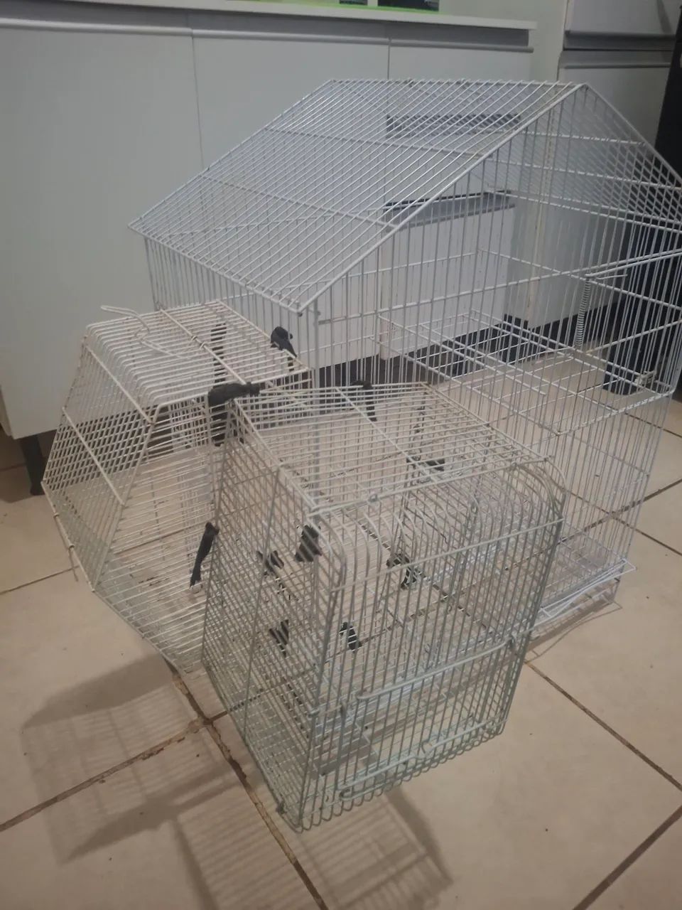 Gaiola  - Foto 3