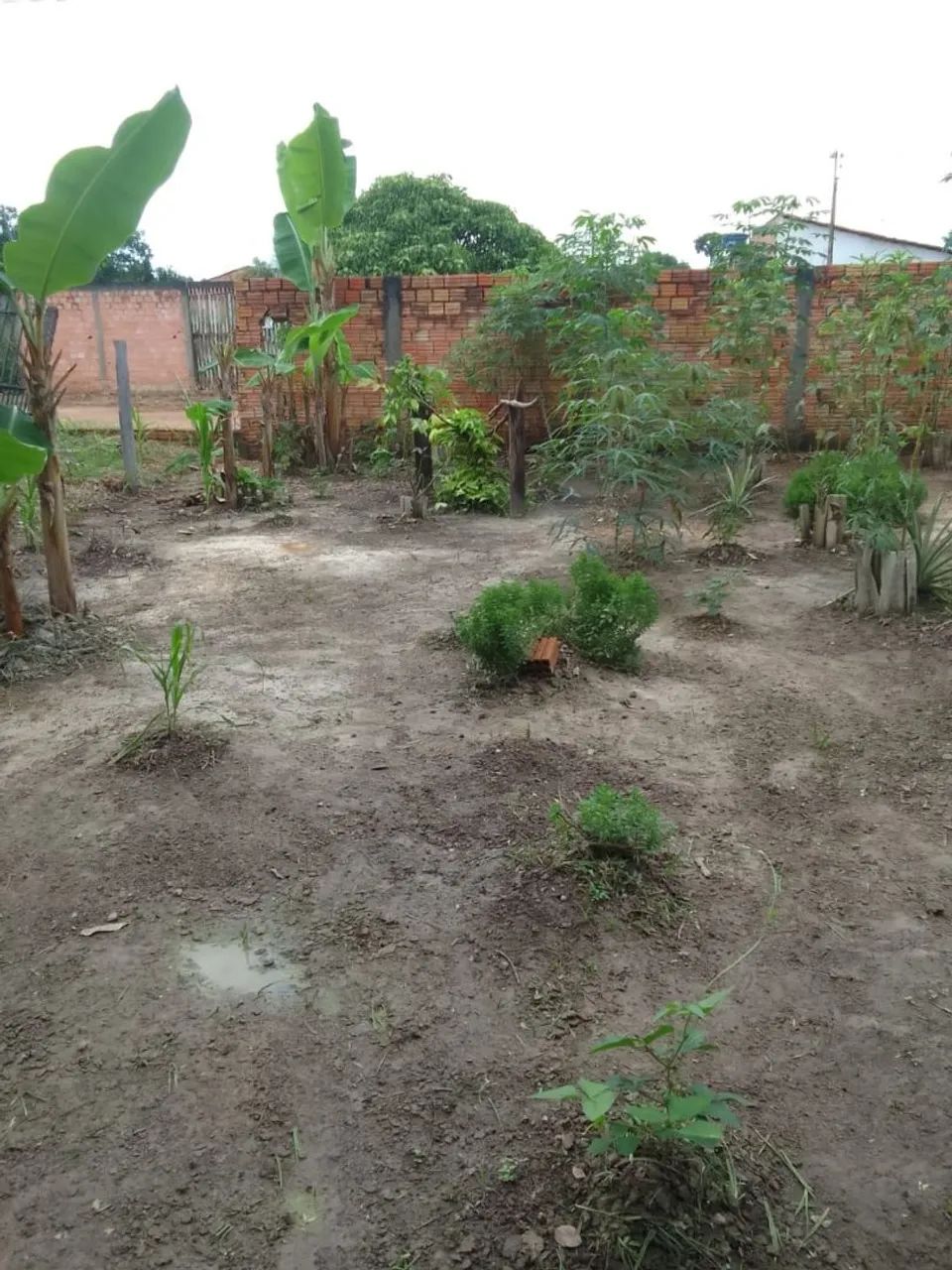 Terreno  - Foto 5
