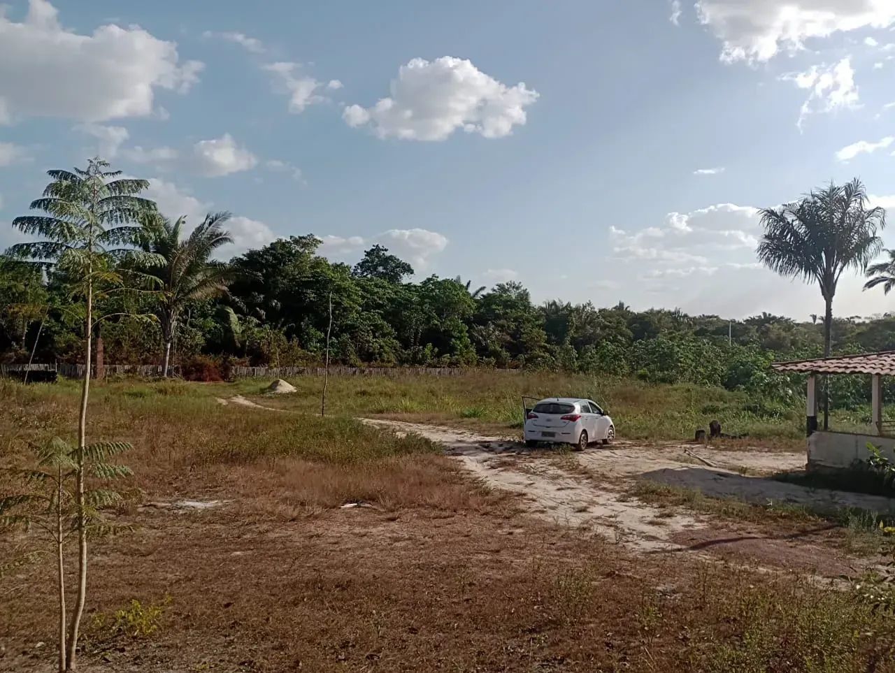 FAZENDA EM BACABEIRA - Foto 5