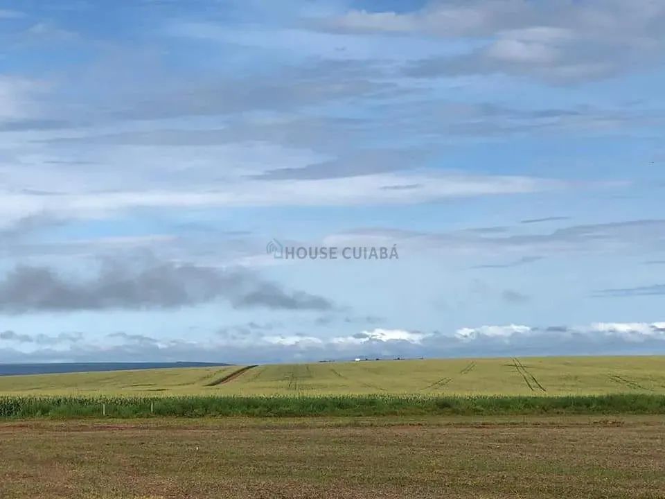 Fazenda Nova Mutum - Foto 2