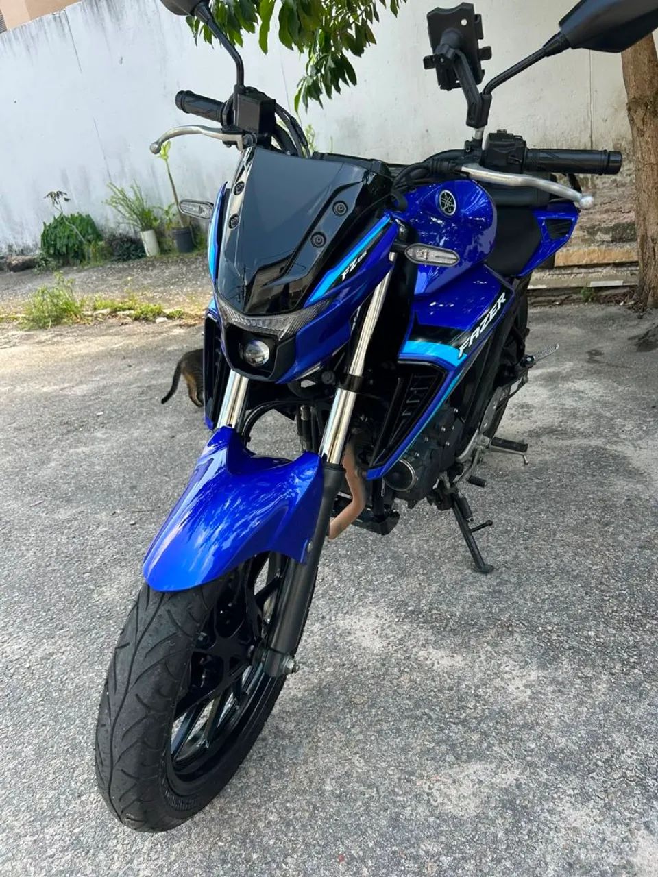 Fazer 2025 250cc - Foto 5