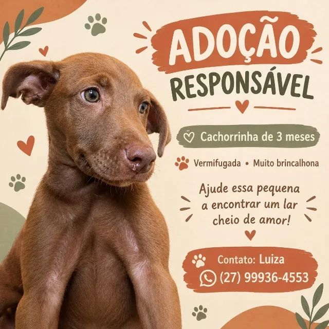 Doação de Duas Cachorrinhas 