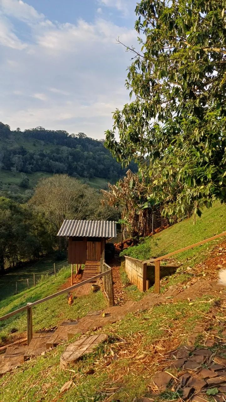 Chácara em Pato Branco - Foto 2